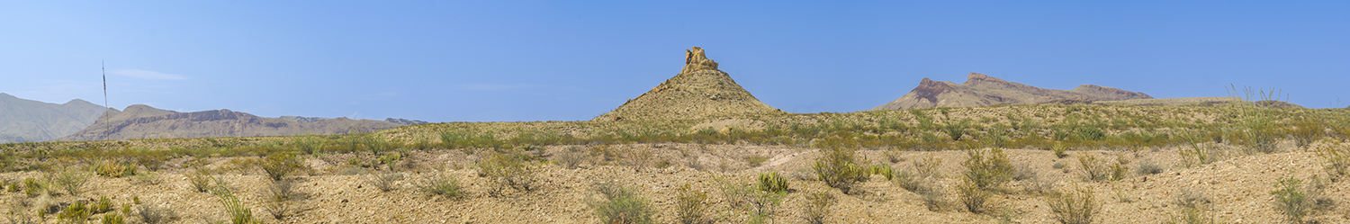 Desert Sentinel of Big Bend