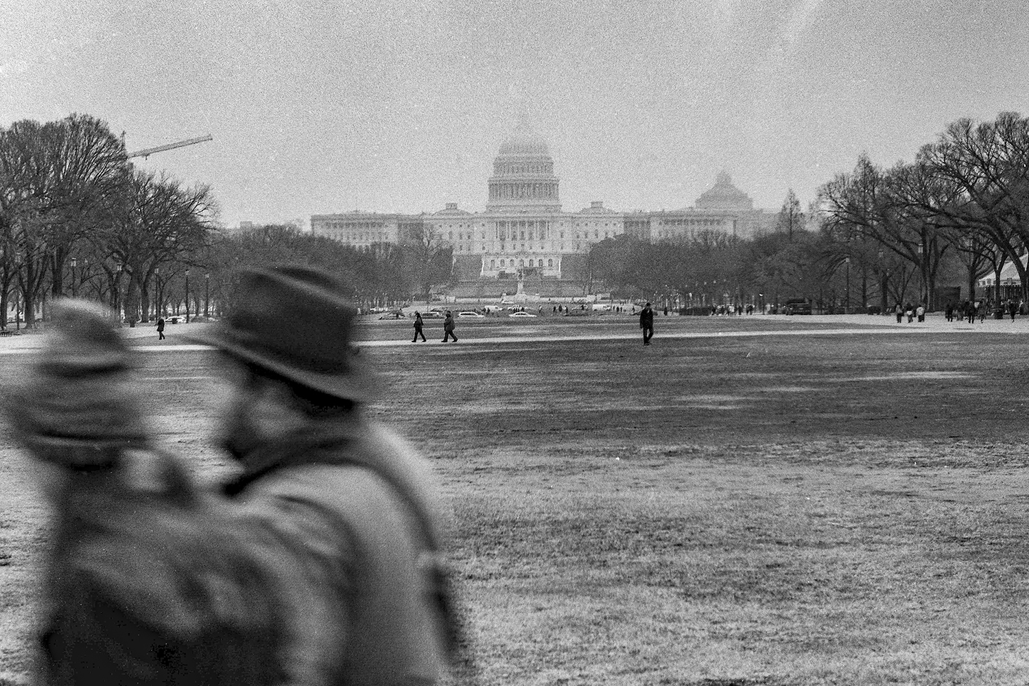 Winter Silence on the National Mall