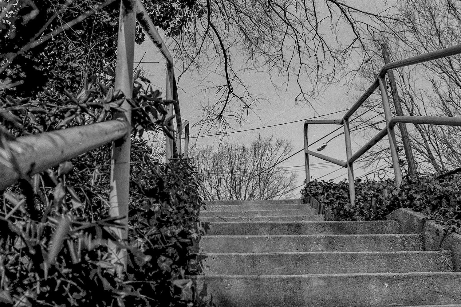 Concrete Steps Through Winter – Black and White Film Study