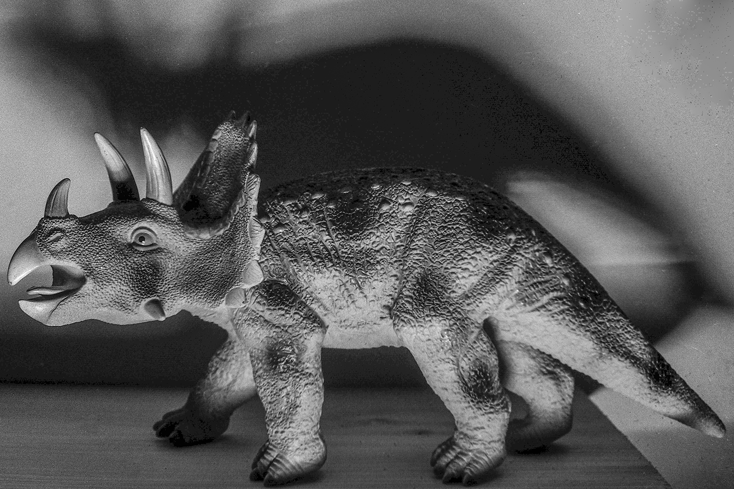 Timeless Guardian: Black & White Triceratops Portrait