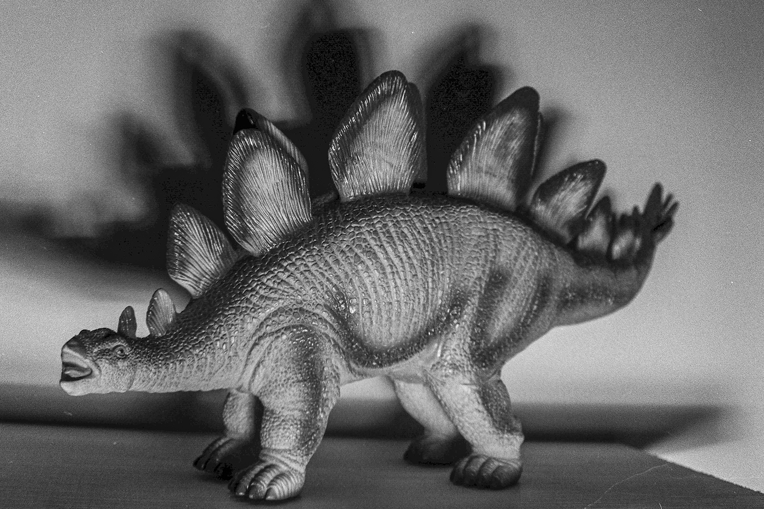 Stegosaurus in Silver Shadows