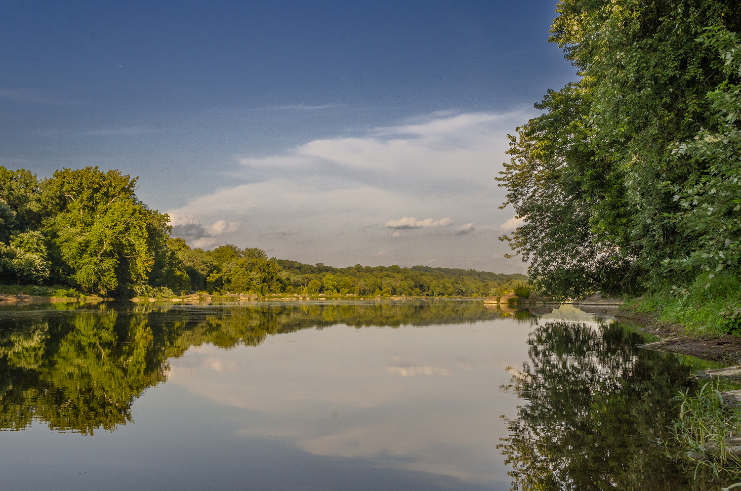 Reflections Along the Potomac