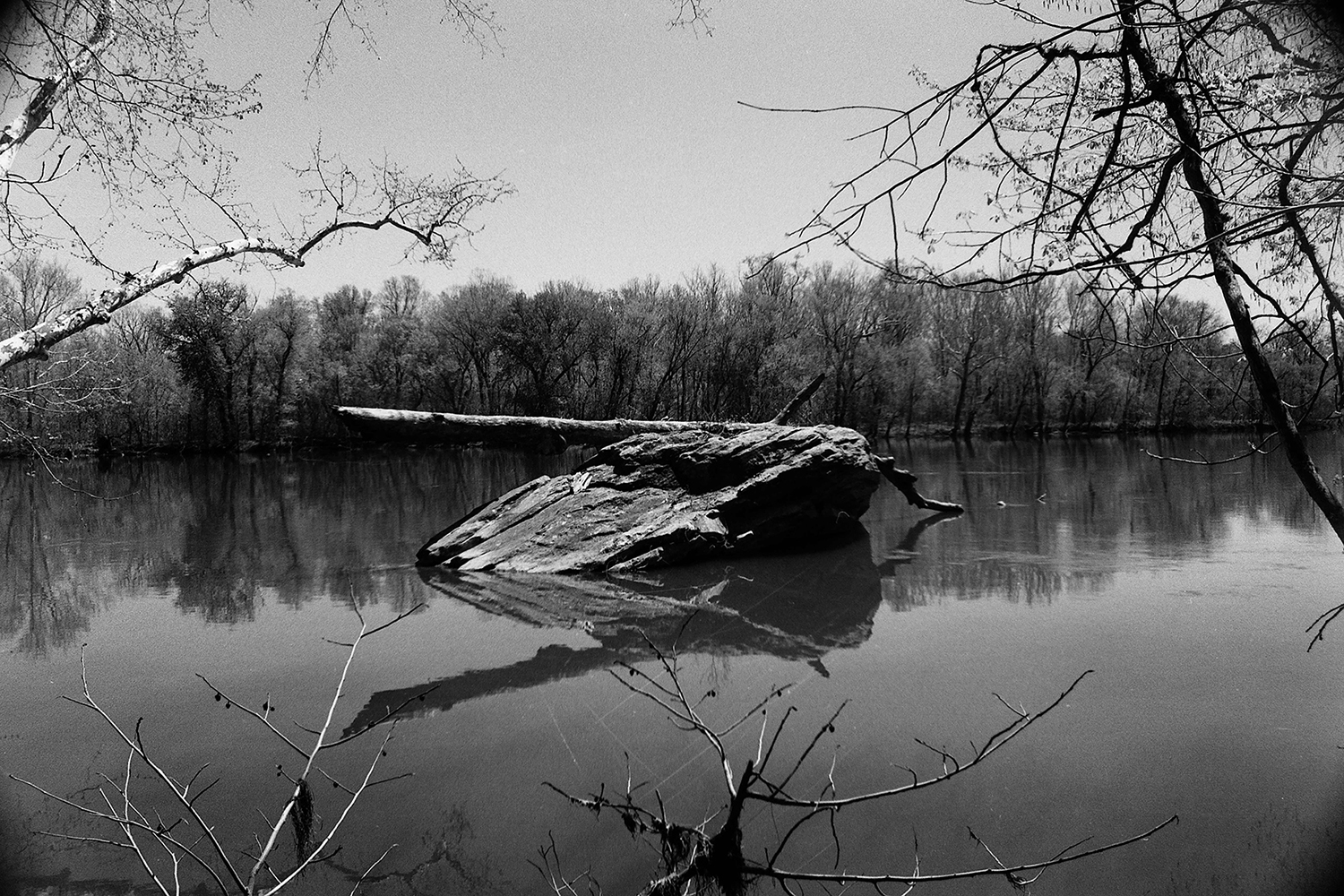 Silent Reflections Along the Potomac
