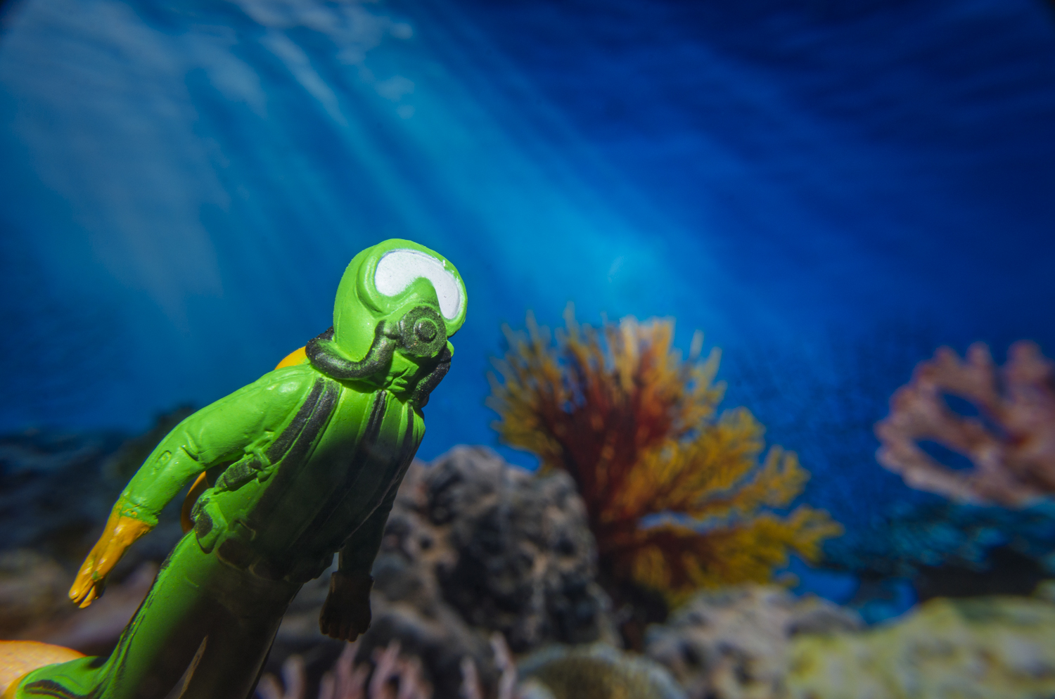 Into the Blue: Scuba Diver on a Reef Adventure