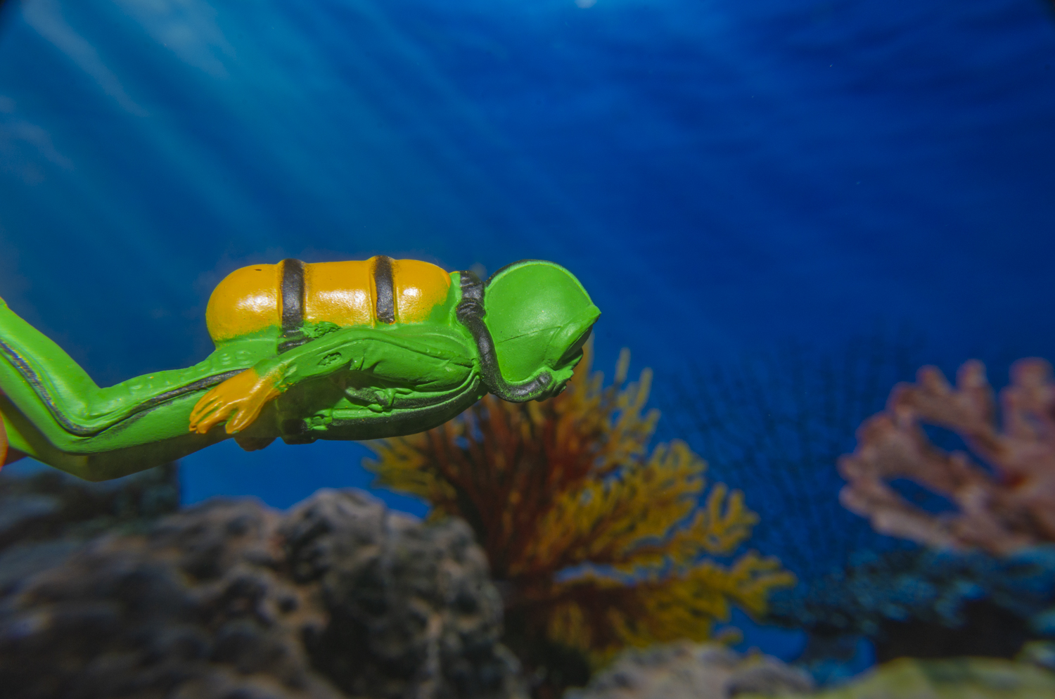 Silent Exploration Beneath the Waves