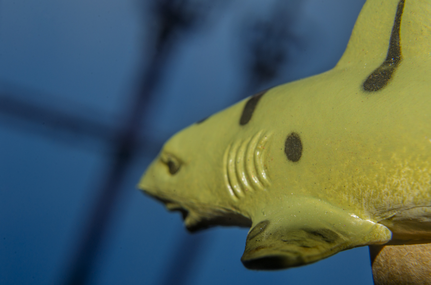Leopard Shark: Spotted Elegance