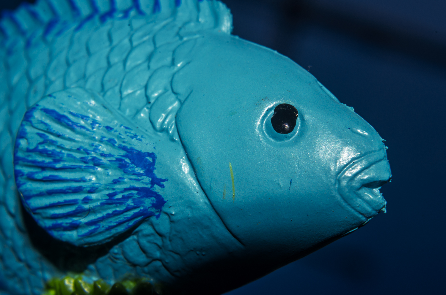 Brilliant Blue Parrotfish Portrait