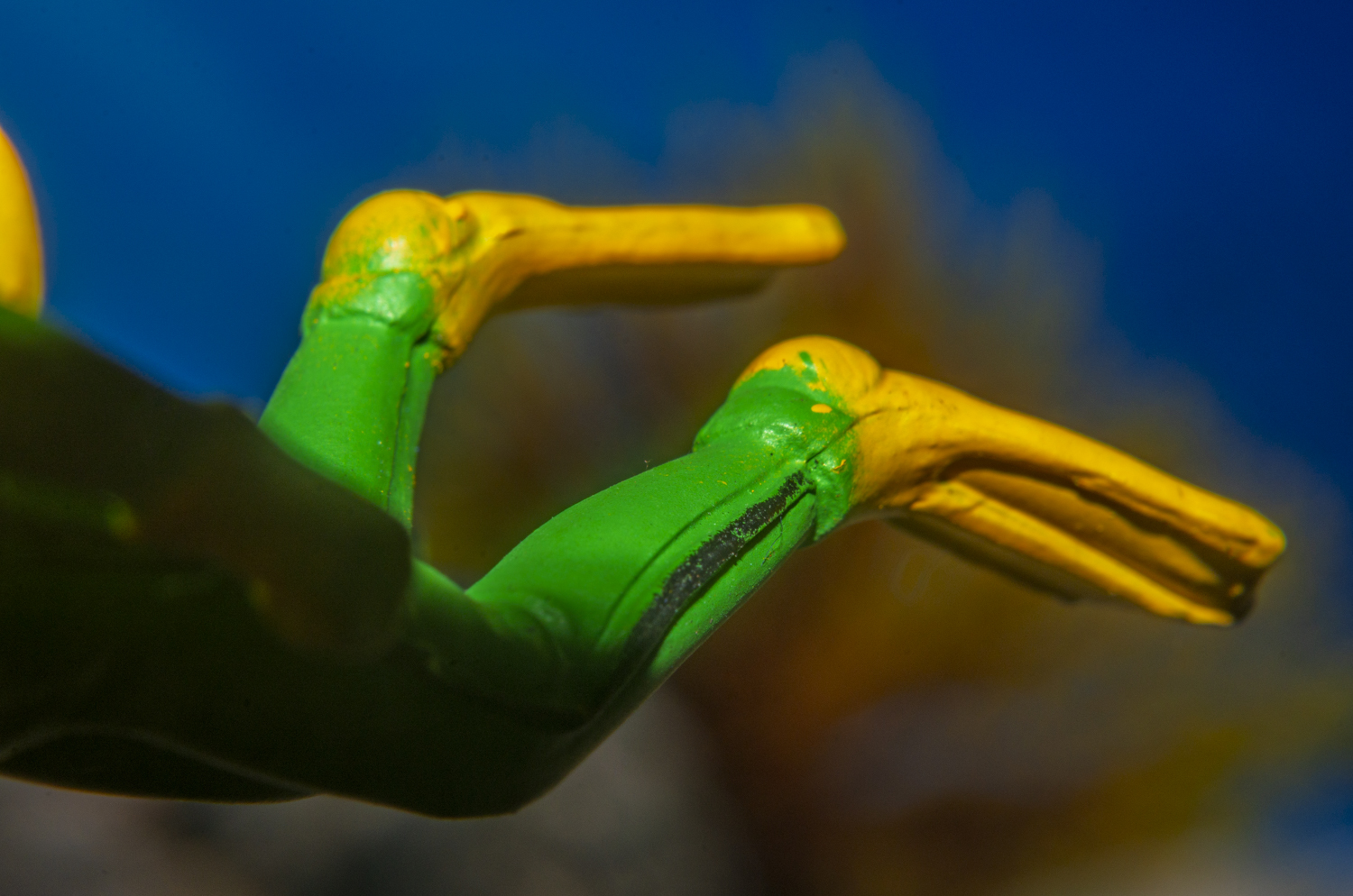 Flippers Ready for the Dive