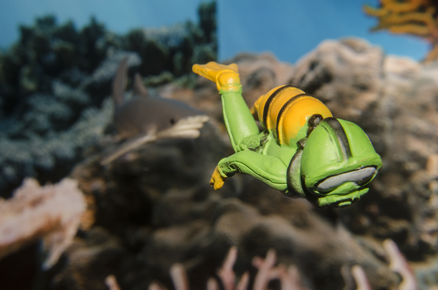 Diver's Close Call with a Tiger Shark