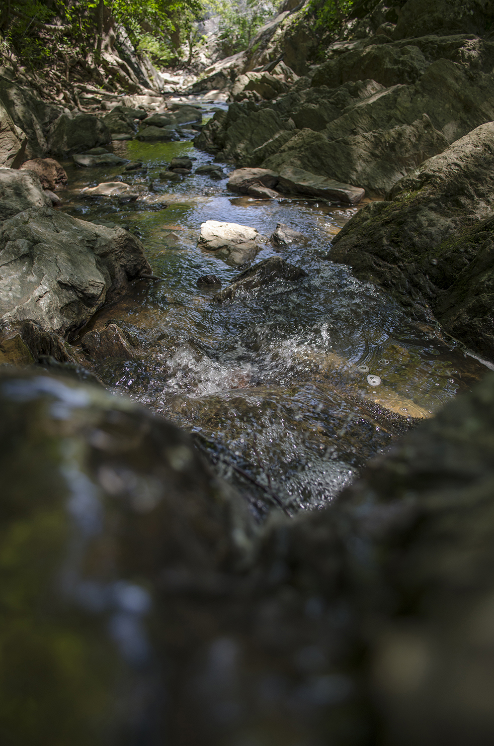 Close up Stream