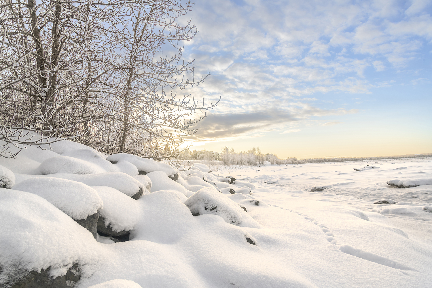 Winter Sunrise Along Anchorage's Coastal Trail