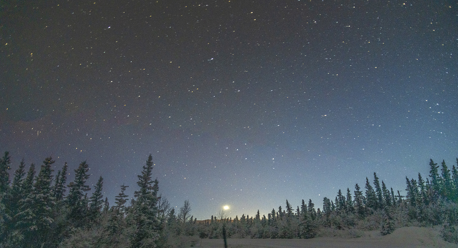 A Symphony of Stars