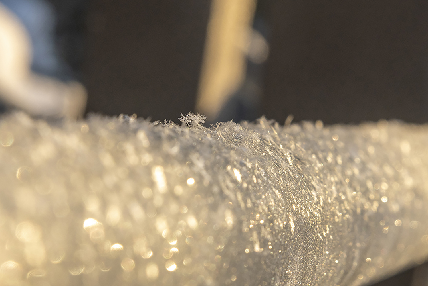 Delicate Snow Crystals in Winter Light