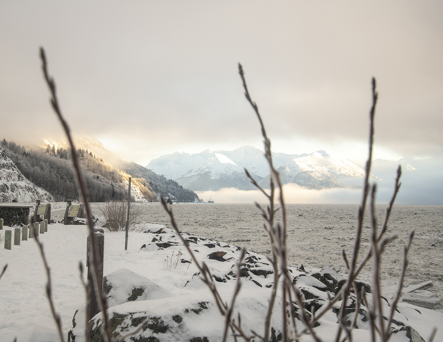 Winter Light Over Turnagain Arm