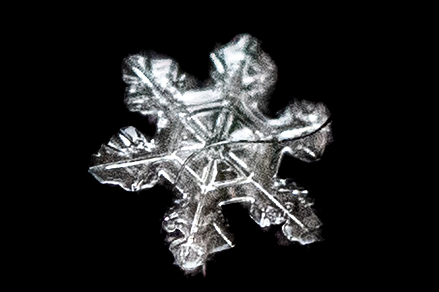 Nature's Frozen Masterpiece: A Single Snowflake