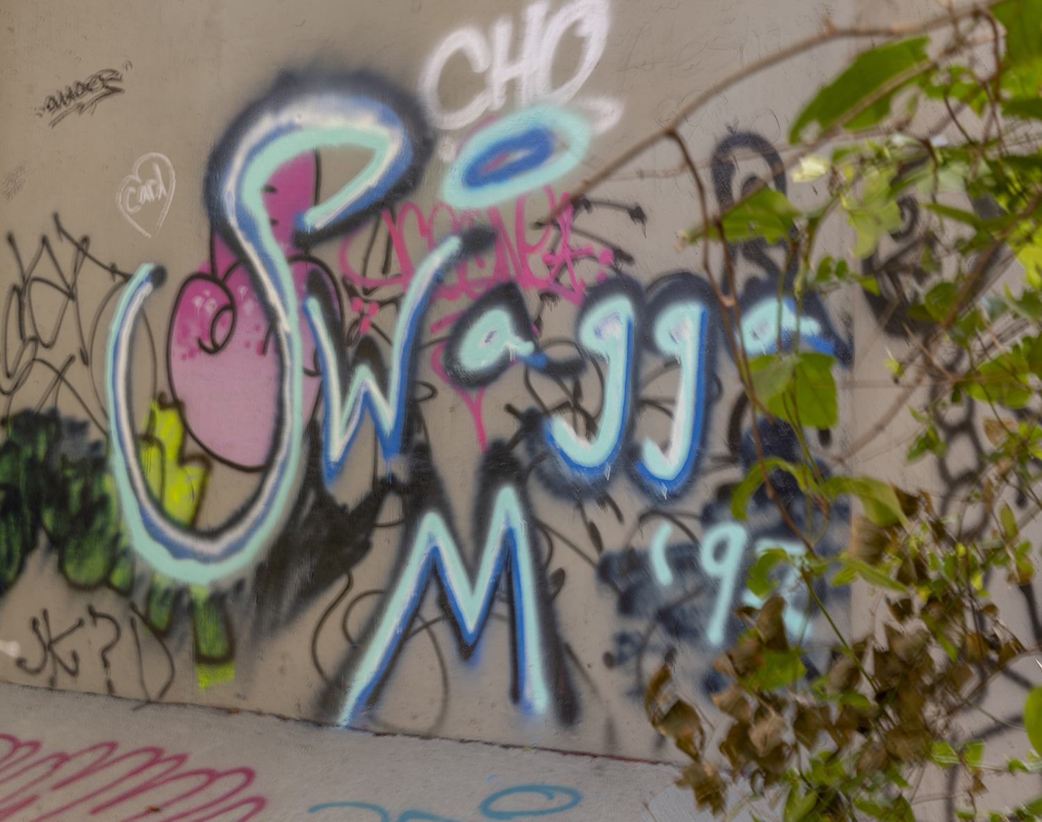 Urban Canvas: Graffiti Beneath the Barton Creek Greenbelt
