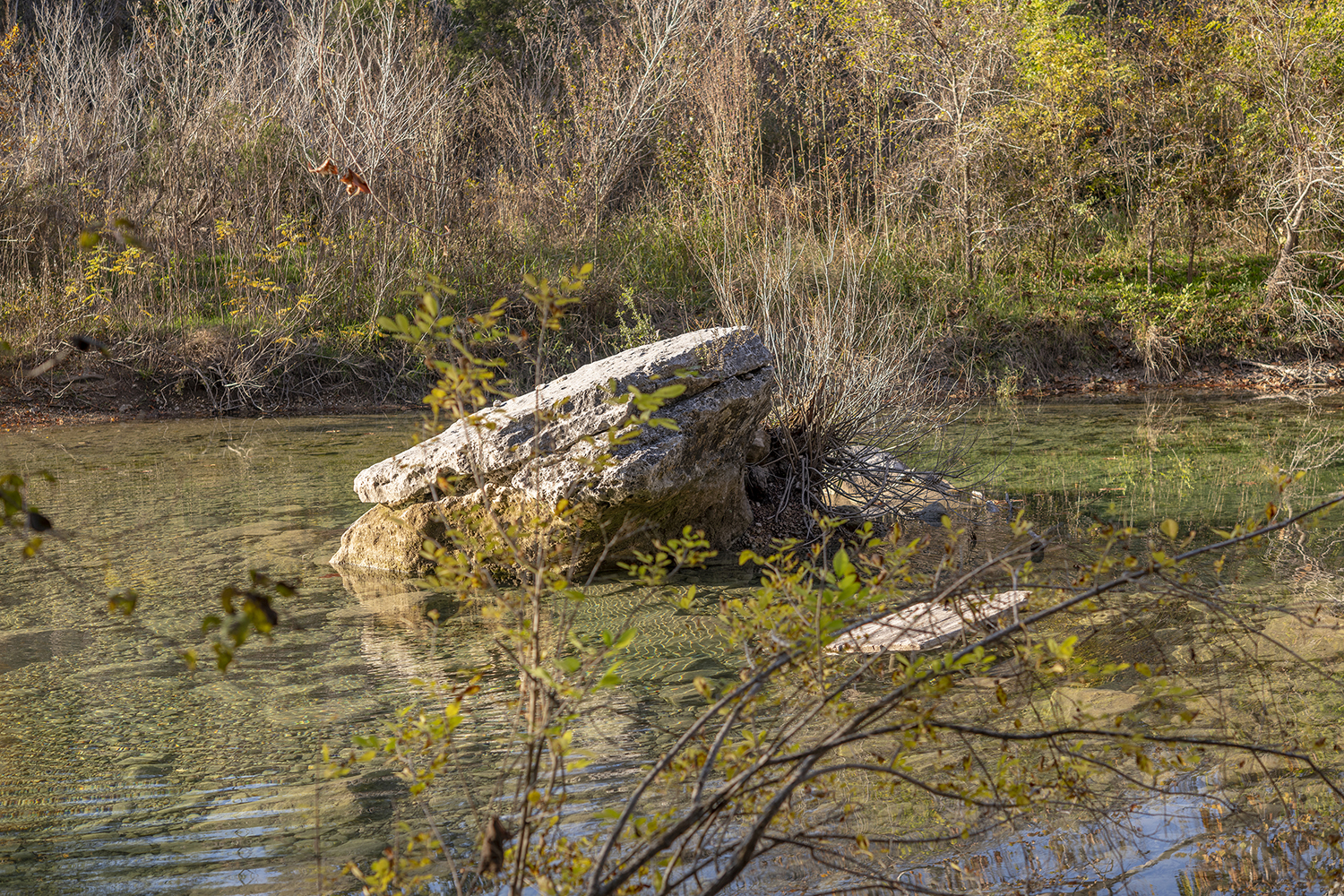 Limestone Island Along Barton Creek