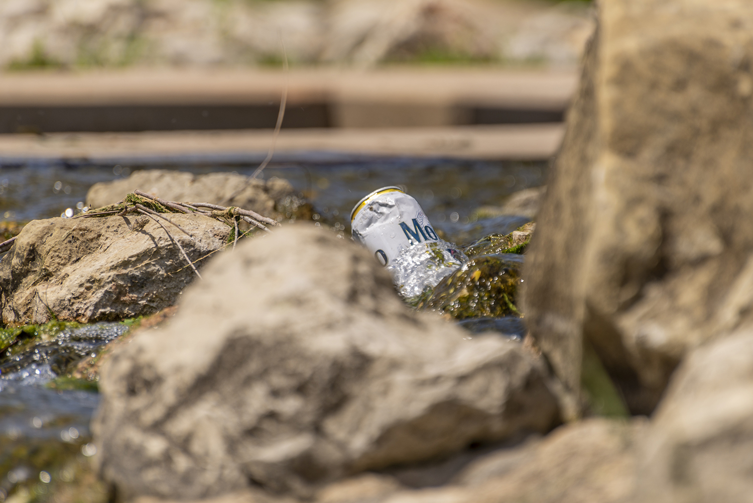 Nature Interrupted: Litter Along the Waters of Confluence Park