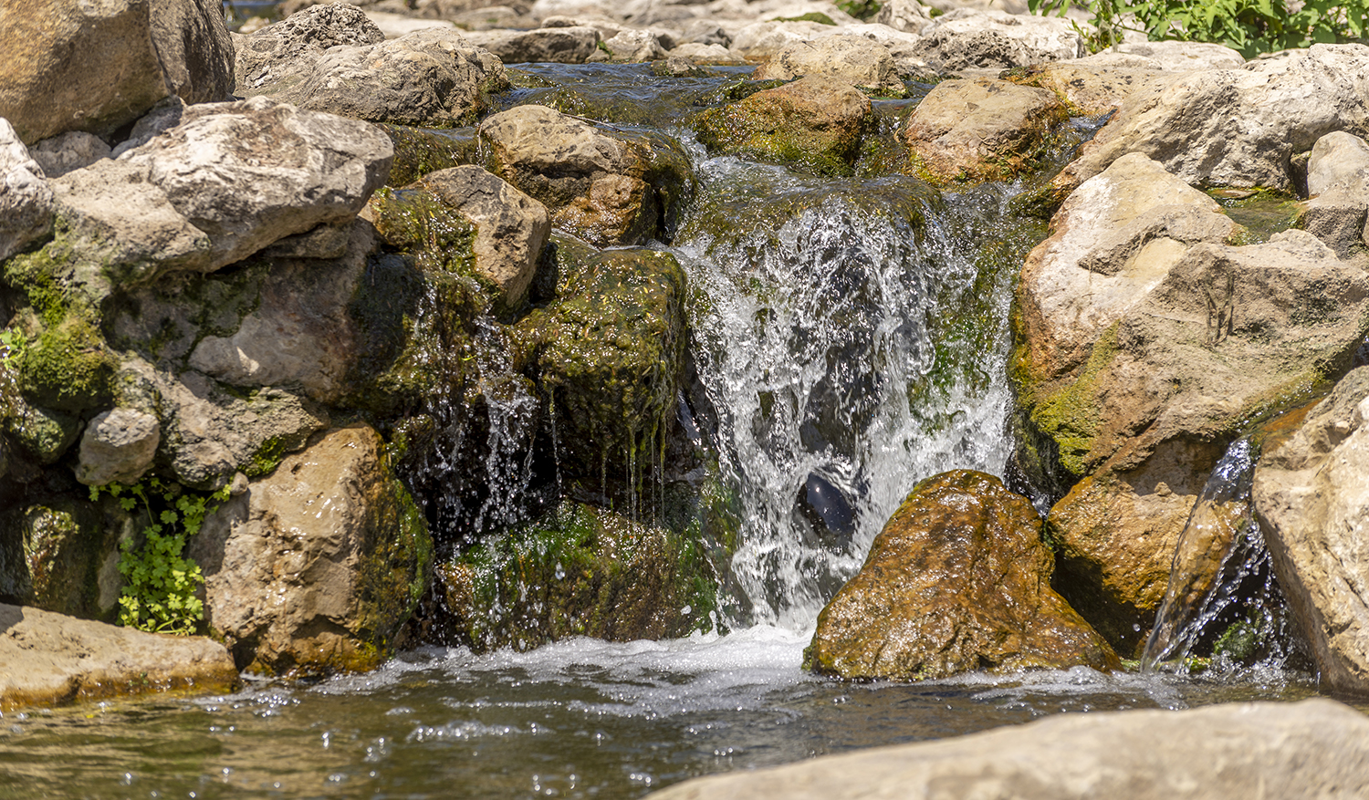 Cascade Through the Limestone | Confluence Park Waterfall