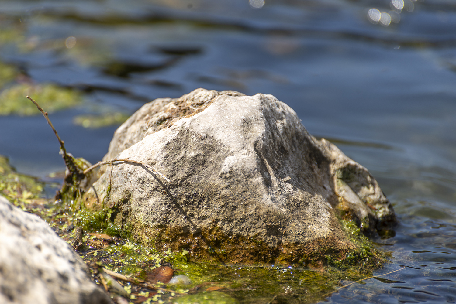 River Stone Serenity at Confluence Park