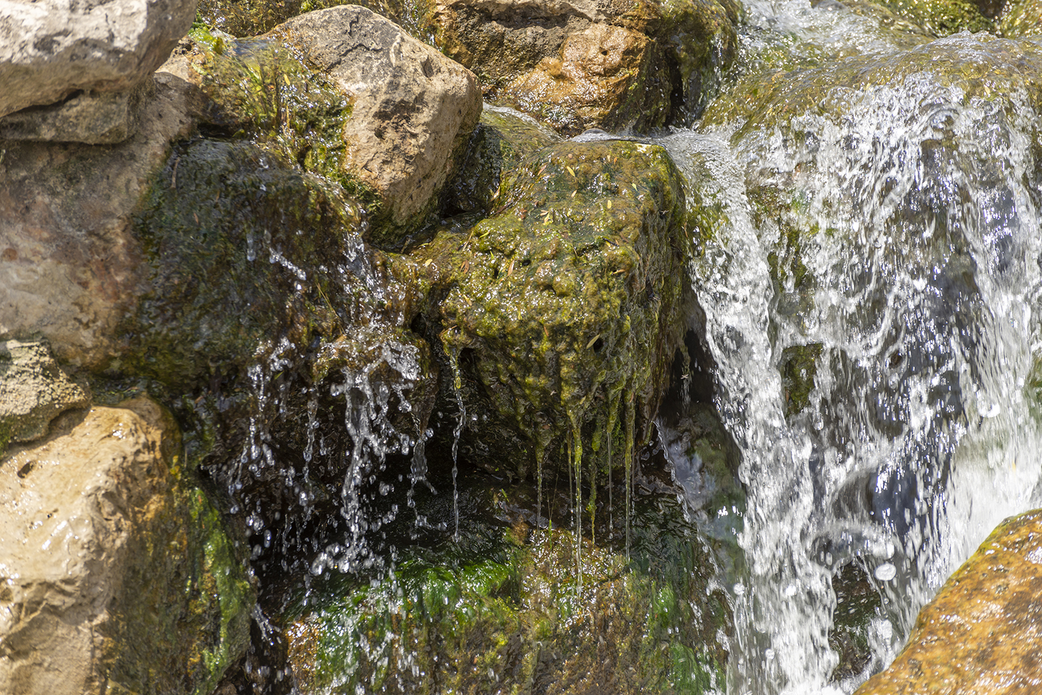 Emerald Cascade | Water Over Limestone at Confluence Park