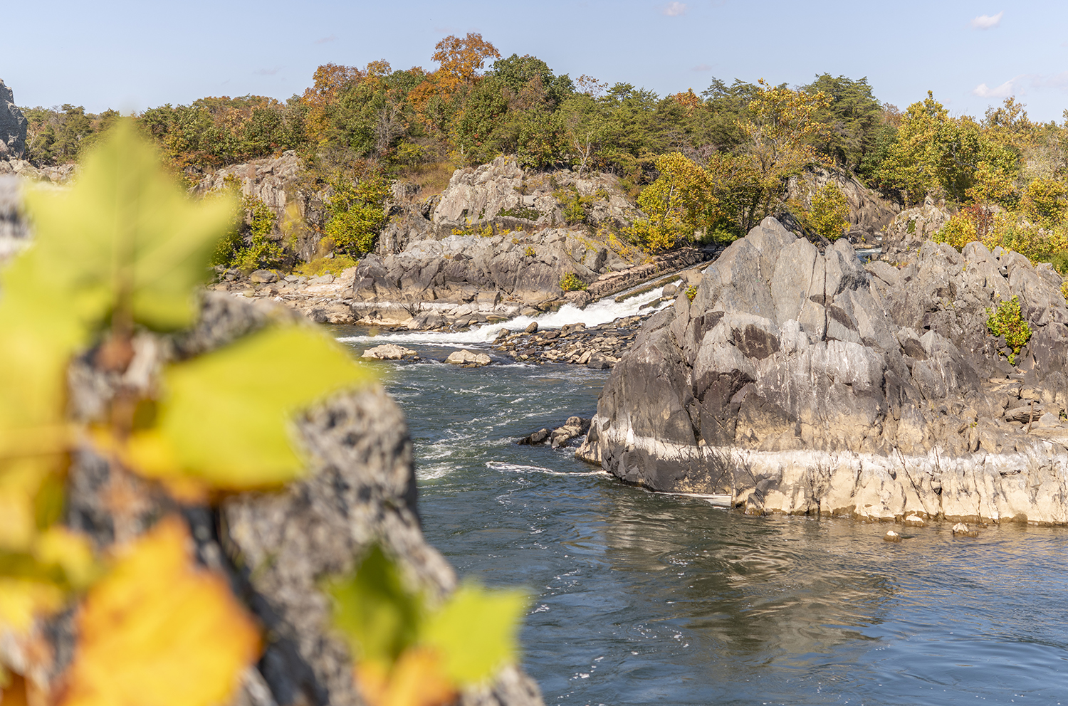 Autumn Framing at Great Falls National Park