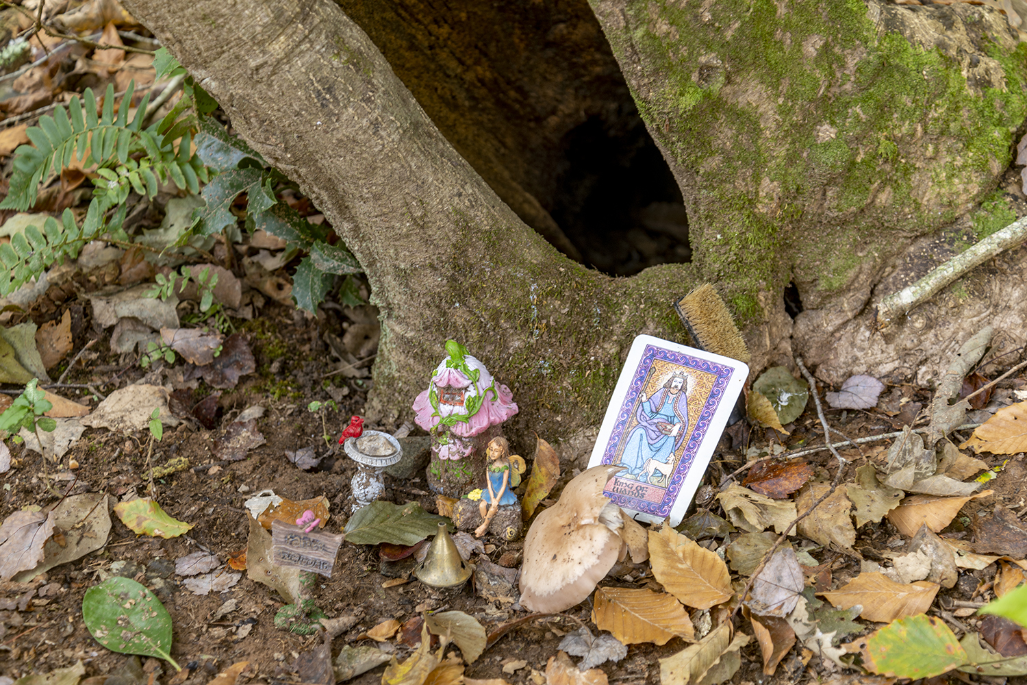 Hidden Woodland Fairy Garden at Raven Rock