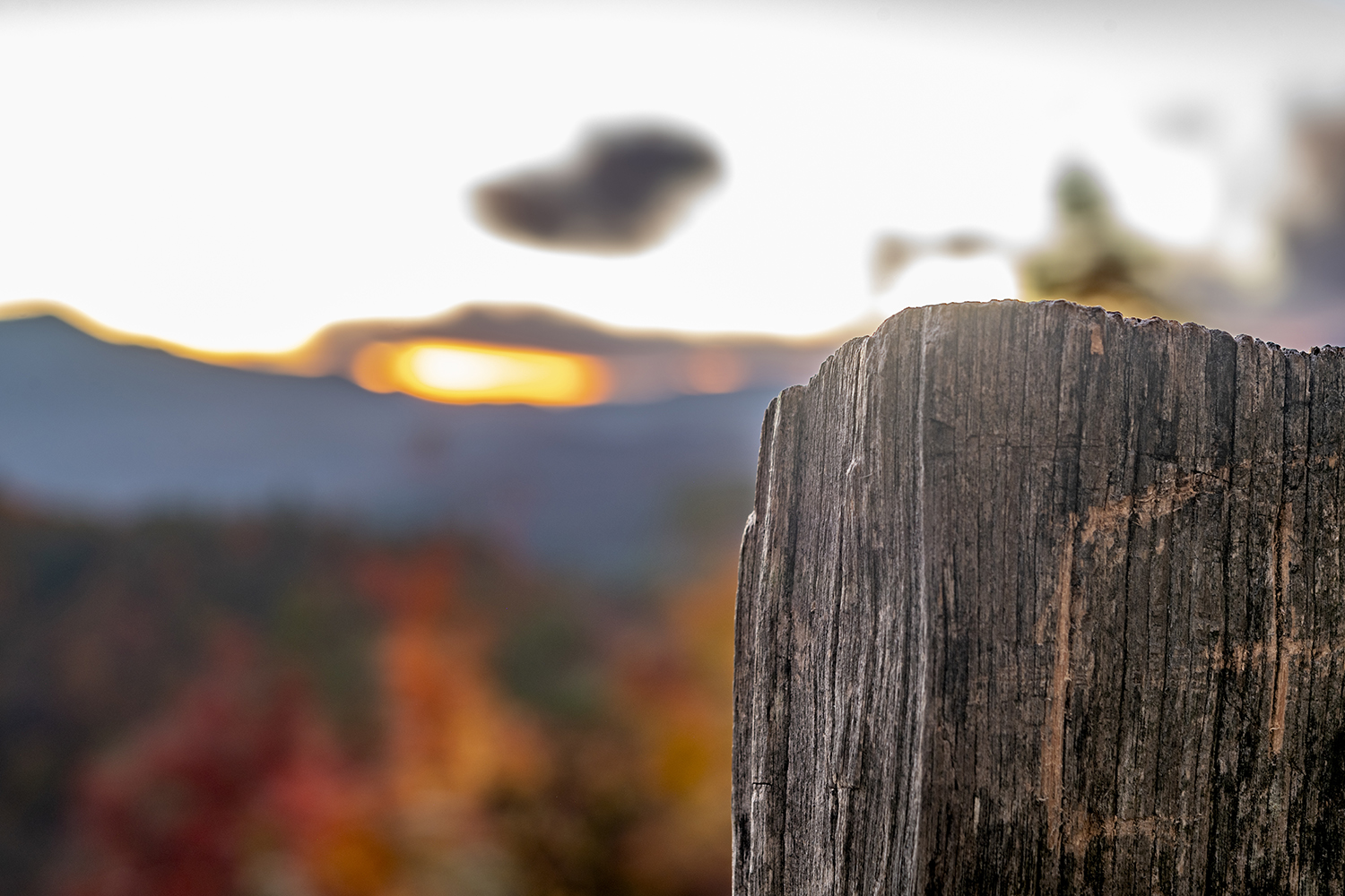 Weathered Witness