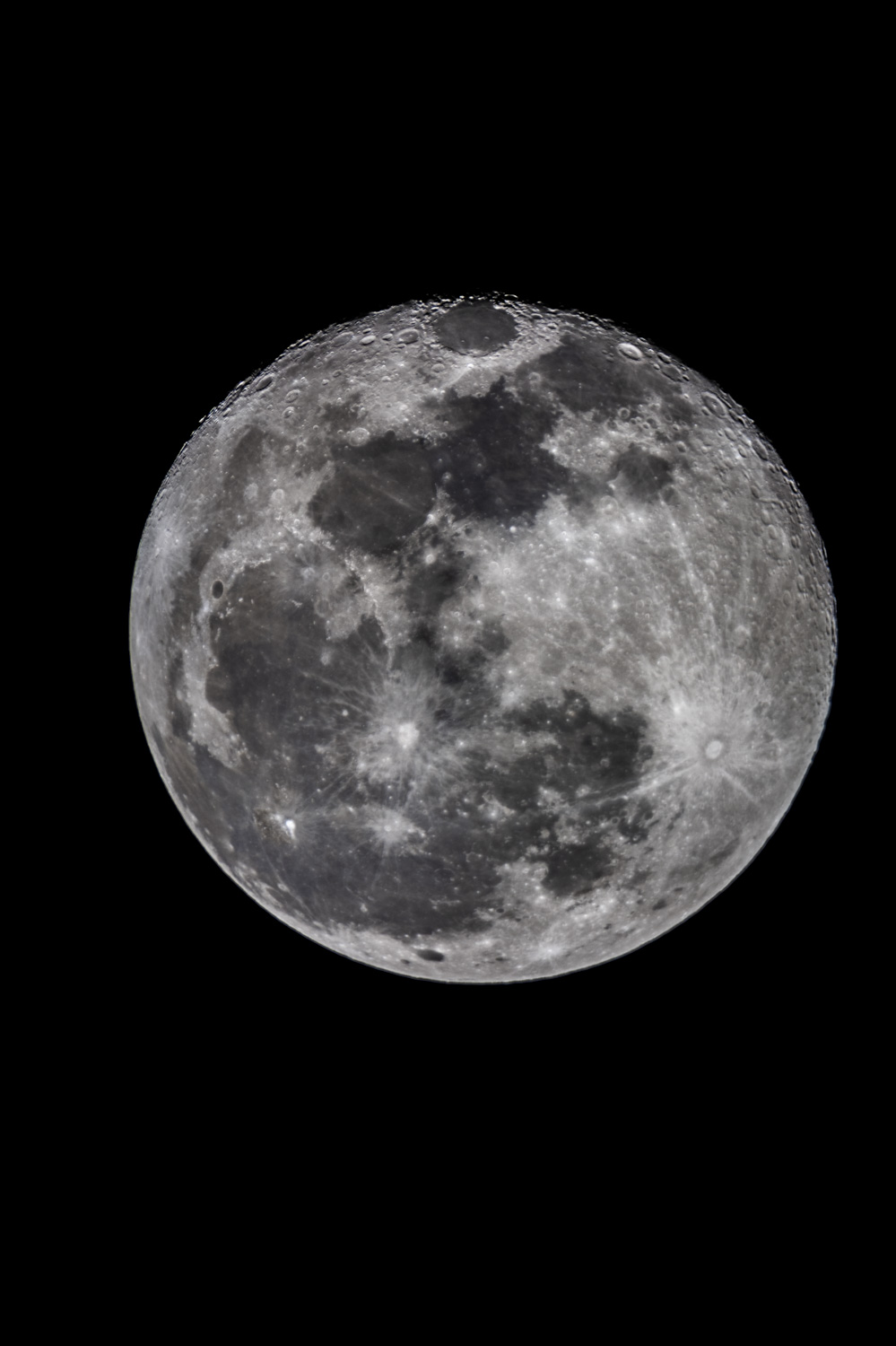Portrait of the August Moon