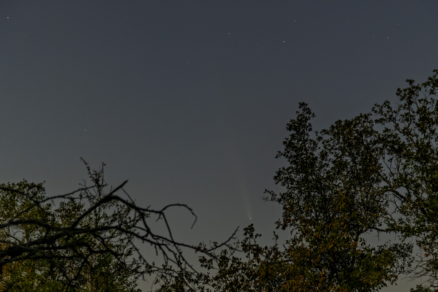Comet A3 Rising Above Comanche Lookout