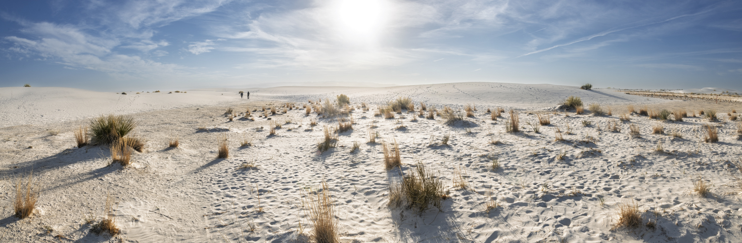 Morning Wanderers in White Sands