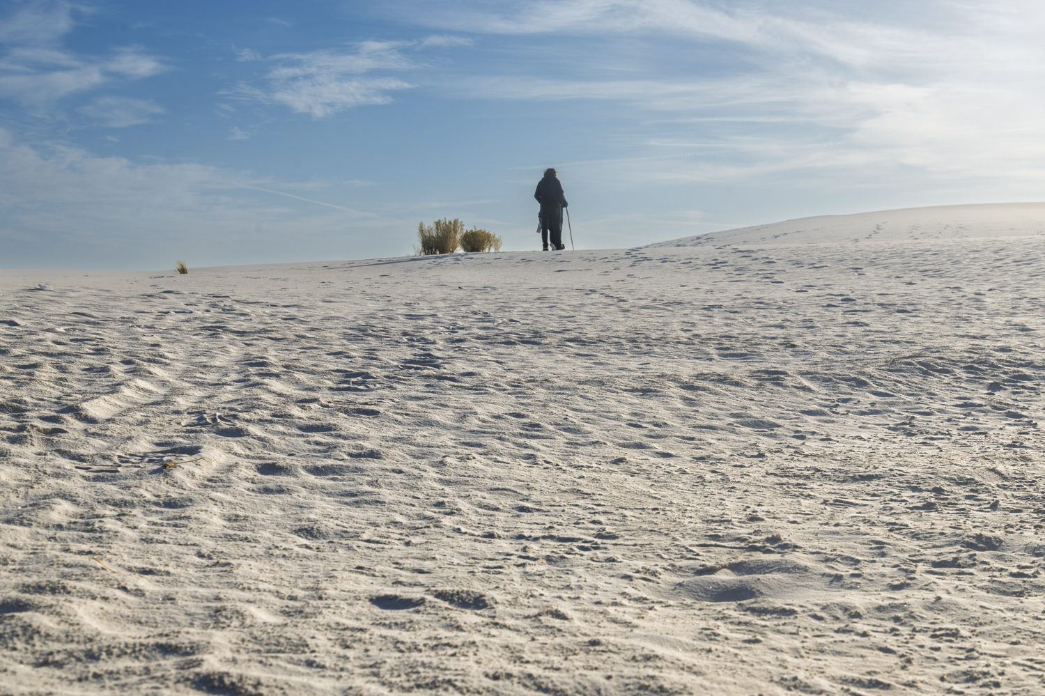 A Solitary Journey Across White Sands