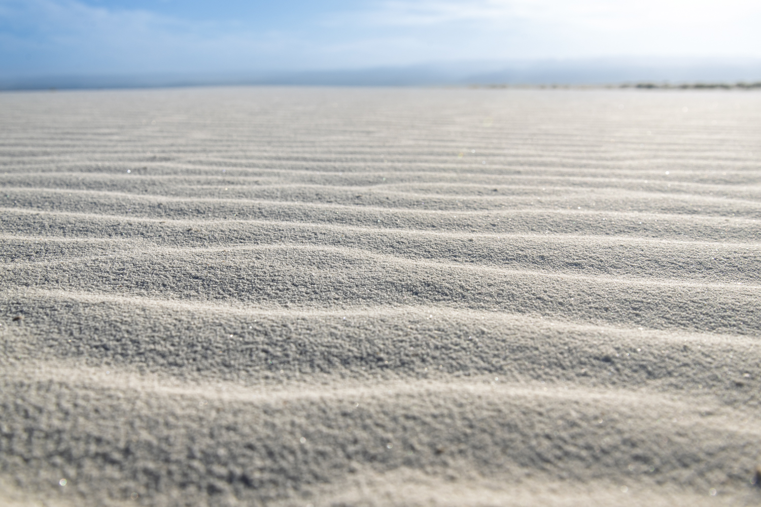Waves Written in Gypsum