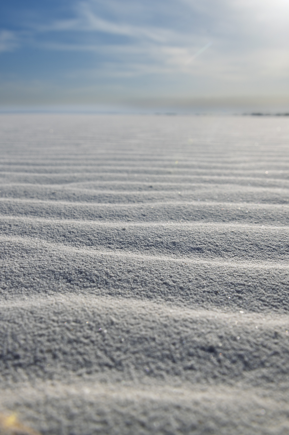 Silver Ripples of White Sands