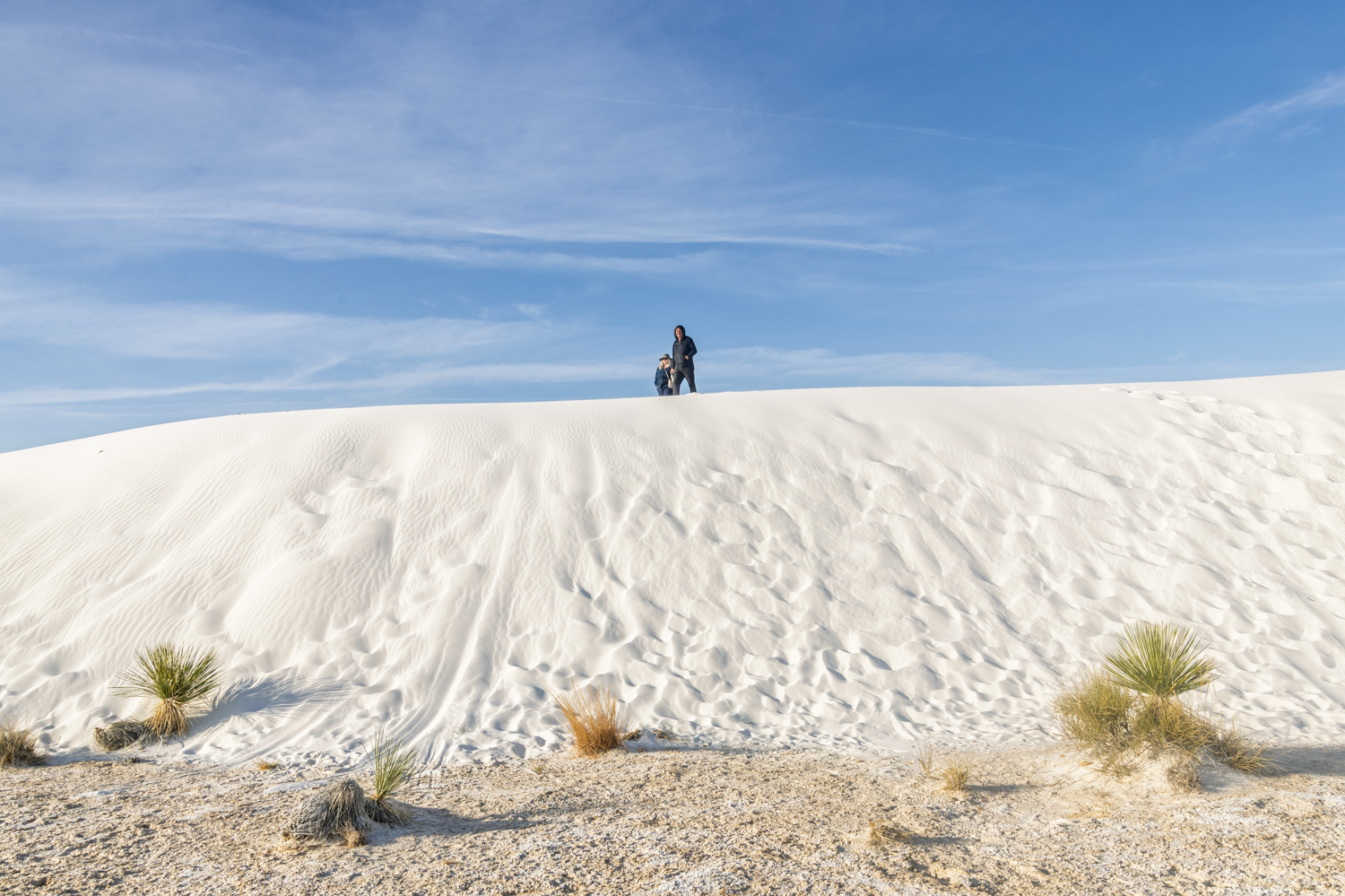 Atop a Sea of White