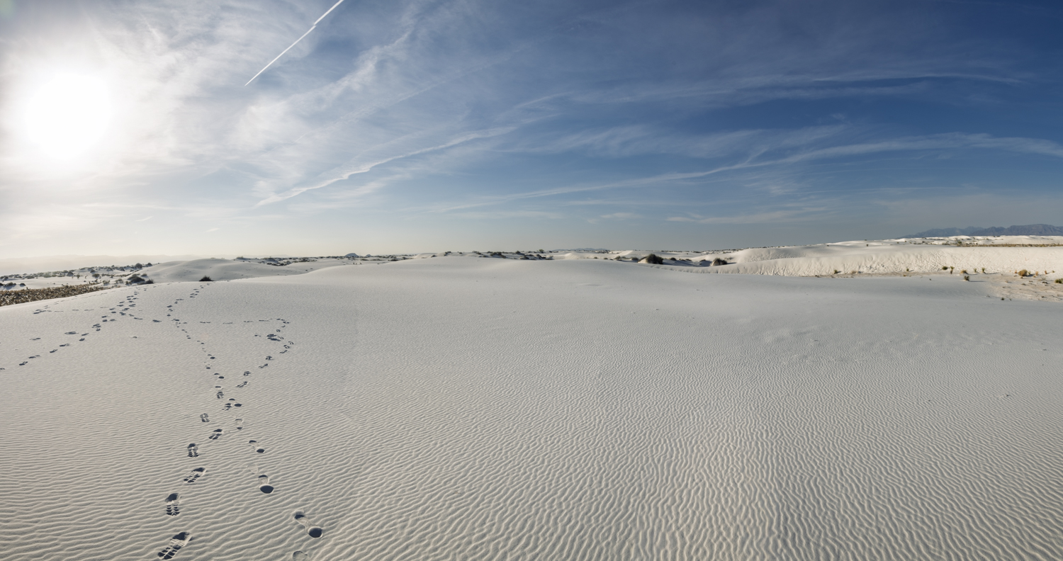 Footprints Across the White Sands