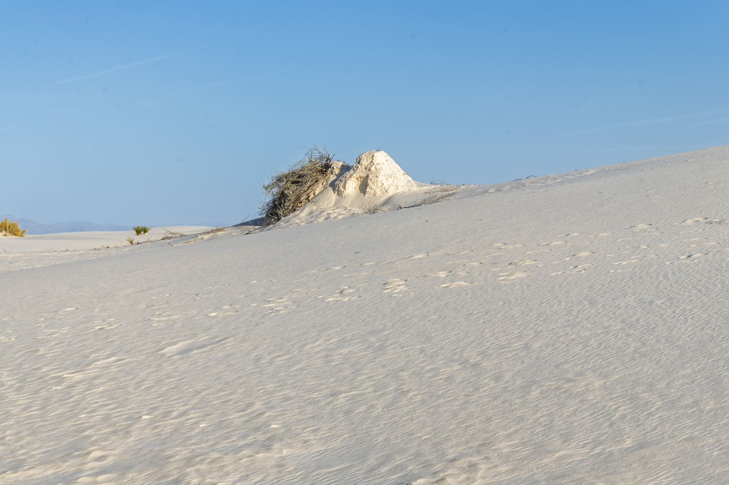 Morning Light on the White Sands