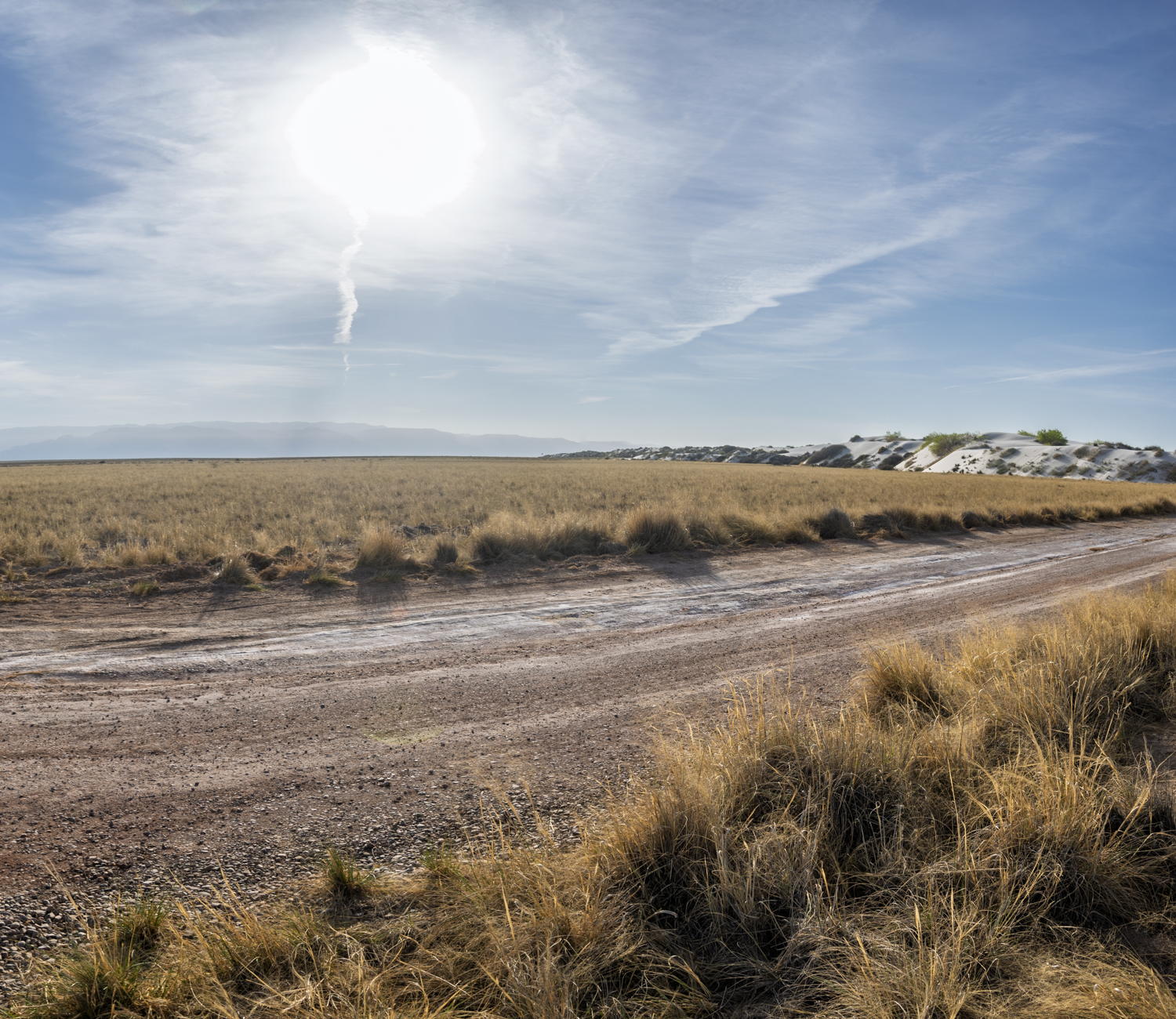 Where the Grasslands Meet the White Sands