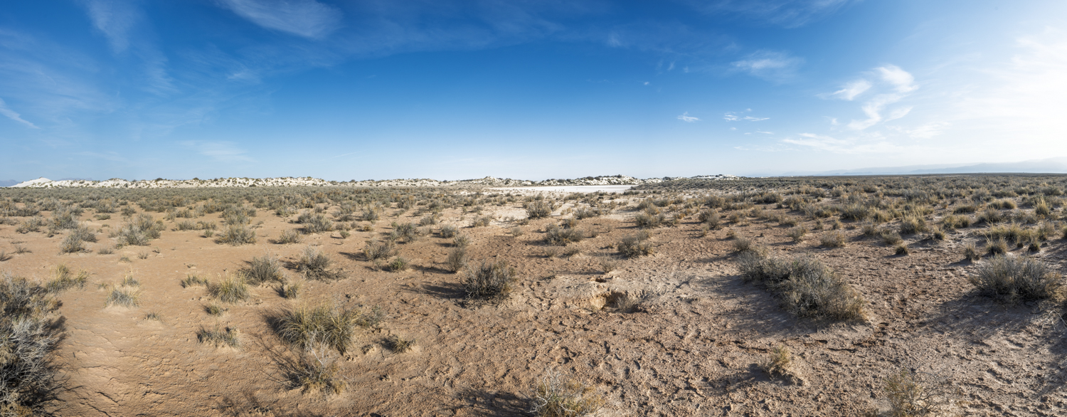 At the Edge of the White Dunes