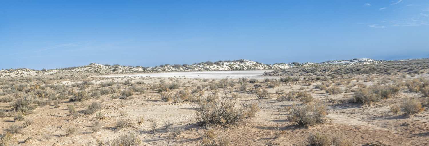 Before the Sands Turn White