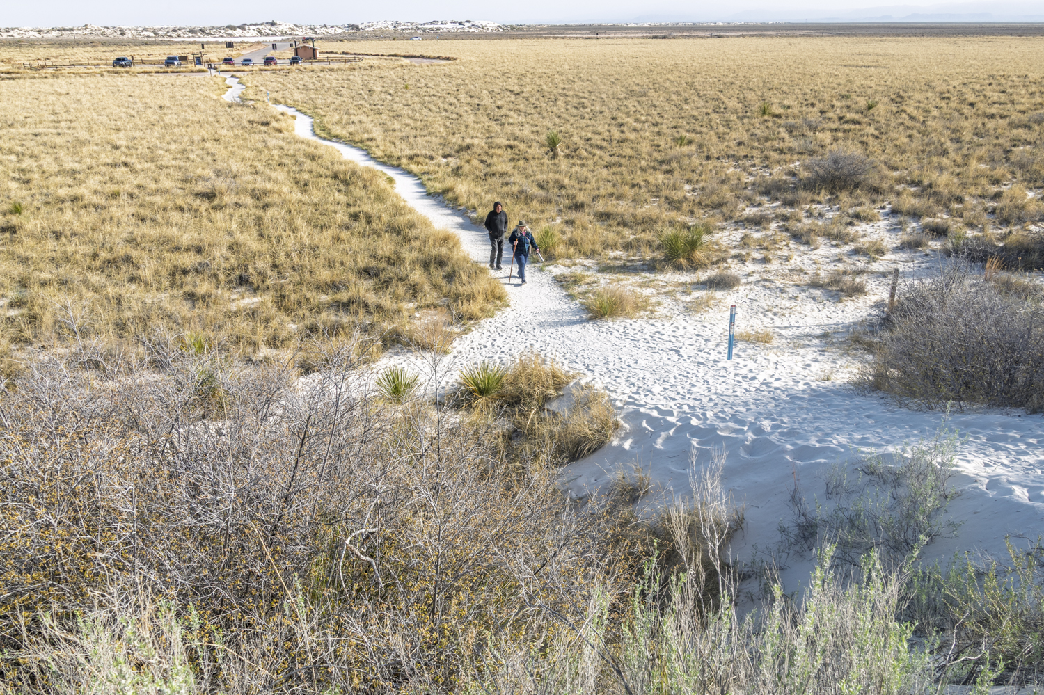 A Path into the White Sands