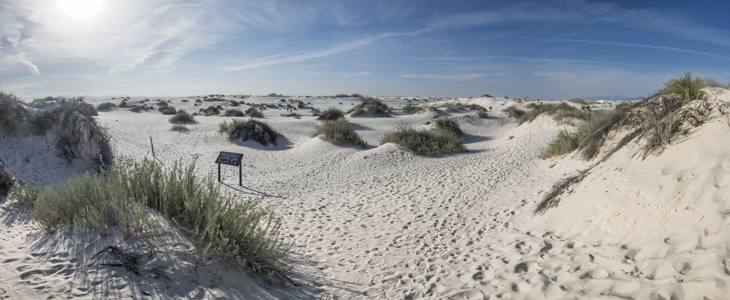 Life Among the White Dunes