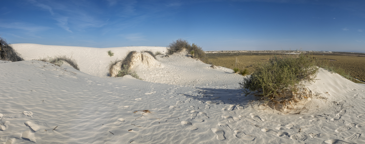 Where the White Dunes Meet the Desert