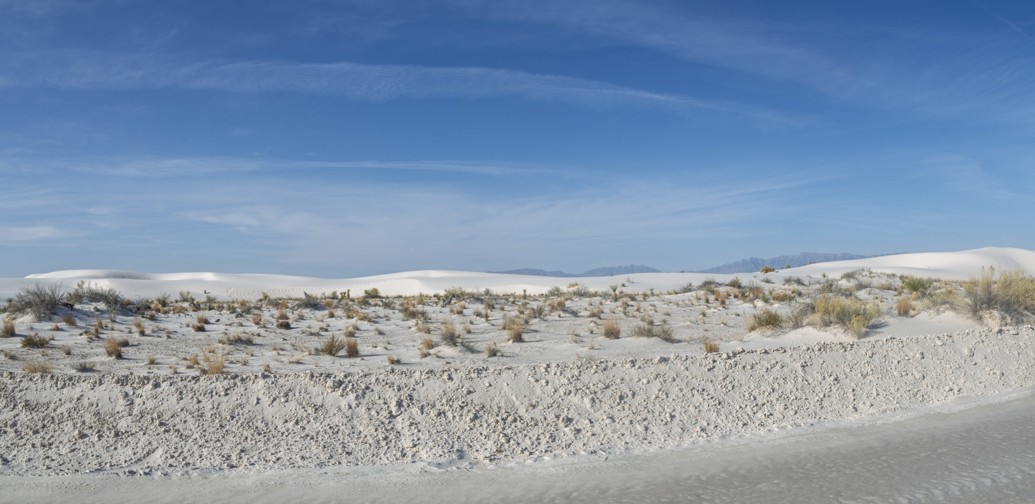 A Desert Garden Among the White Dunes