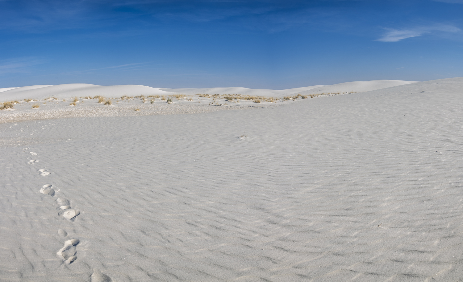 A Solitary Trail into White Sands