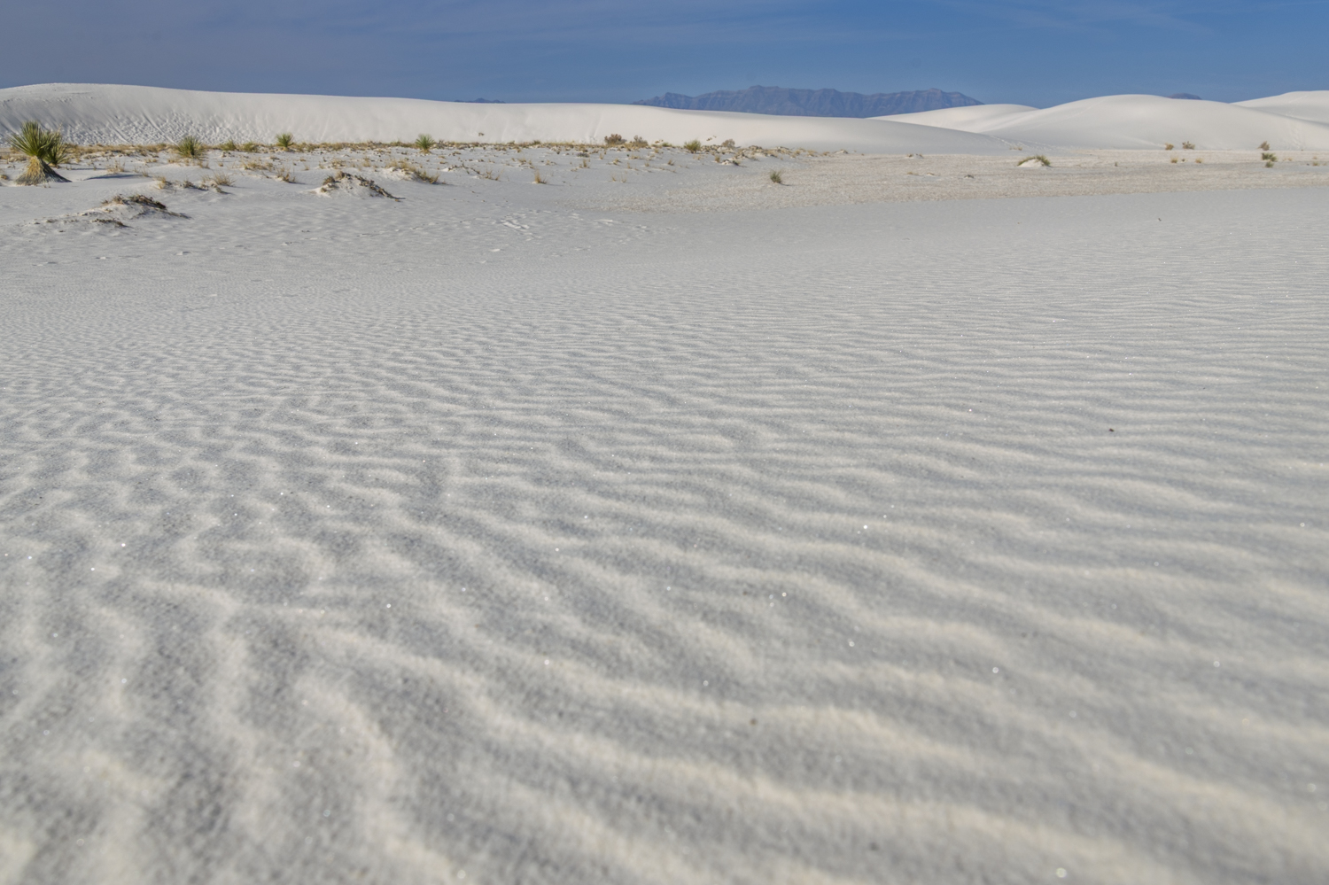 Ripples of Light Across White Sands