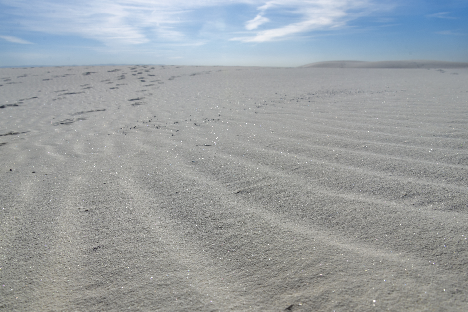 Gypsum Sparkles Beneath the Desert Sky