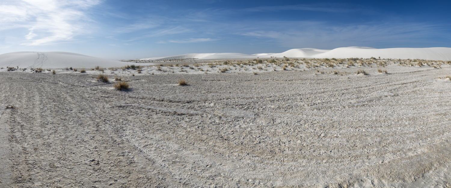 Life Between the White Dunes