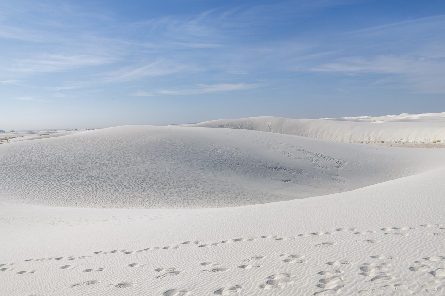 Footpaths Through a Sea of White