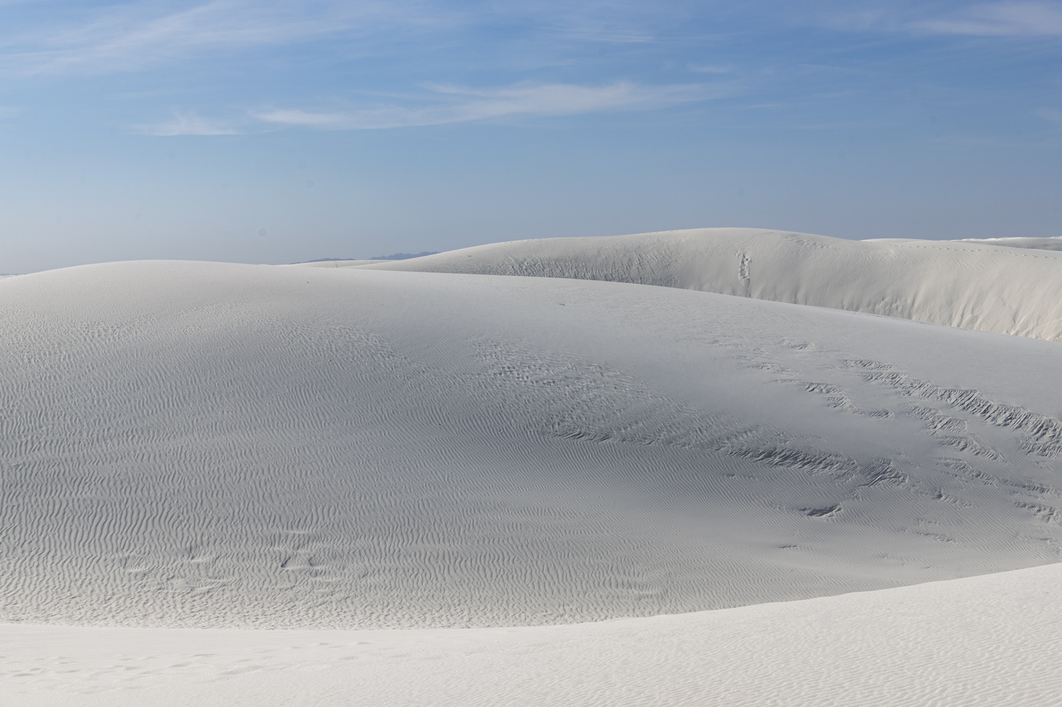 Footprints Across the White Sands